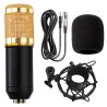 Equipado com um cabo XLR de alta qualidade para conexo P2, este microfone garante uma transmisso de som sem perdas, ideal para gravaes em estdio ou performances ao vivo.

Acompanha uma espuma acstica que reduz rudos ambientais, permitindo gravaes mais limpas e profissionais. Seja para podcasts, msicas ou broadcasting, este microfone oferece a fidelidade sonora que os profissionais exigem.

Especificaes
Padro Polar: Unidirecional